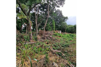 Terreno, 1827 m² - Foto 4