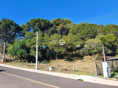 Terreno, 1546 m² - Foto 1