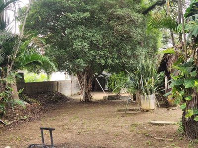 Terreno, 1260 m² - Foto 4