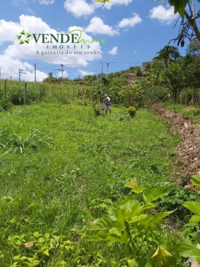 Terreno, 360 m² - Foto 5