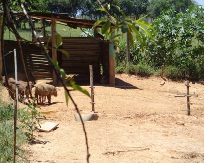 Sítio - Foto 5