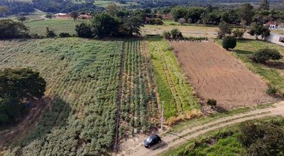 Terreno, 2000 m² - Foto 2