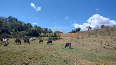 Terreno, 2 hectares - Foto 4