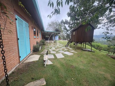 Sítio, 2 quartos, 100 m² - Foto 4