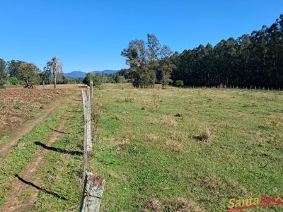 Chácara, 10 hectares - Foto 4