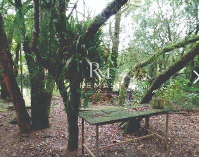 Terreno, 2300 m² - Foto 4