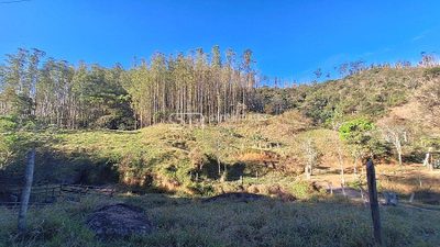 Fazenda, 337 hectares - Foto 3