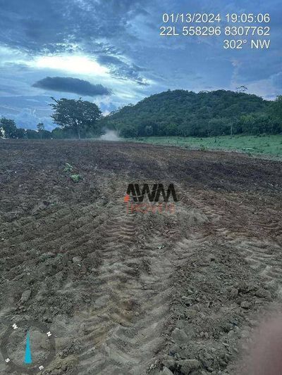 Fazenda, 484 hectares - Foto 4