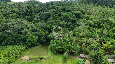 Sítio, 5 quartos, 2 hectares - Foto 4