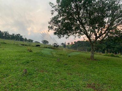 Sítio, 3 quartos, 16 hectares - Foto 1
