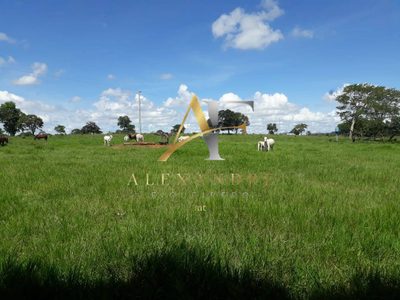 Terreno, 115 hectares - Foto 4