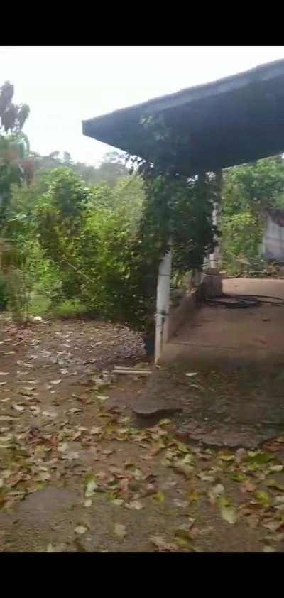 Chácara, 1 quarto, 1400 m² - Foto 1