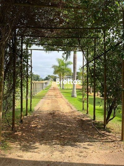 Casa, 1 quarto, 240 m² - Foto 5
