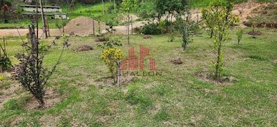 Sítio, 2 quartos, 1340 m² - Foto 3