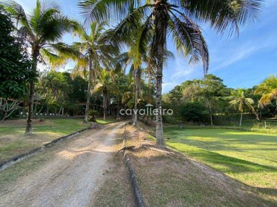 Sítio, 3 quartos, 5450 m² - Foto 1