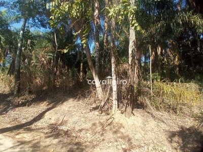 Terreno, 2000 m² - Foto 4
