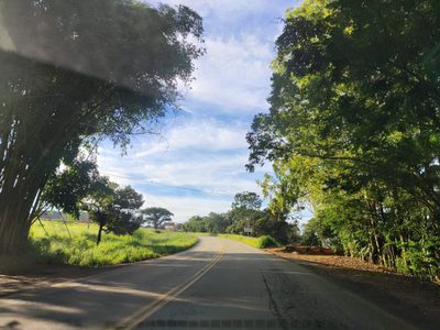 Chácara, 1 quarto, 3000 m² - Foto 3