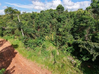 Terreno, 5000 m² - Foto 4