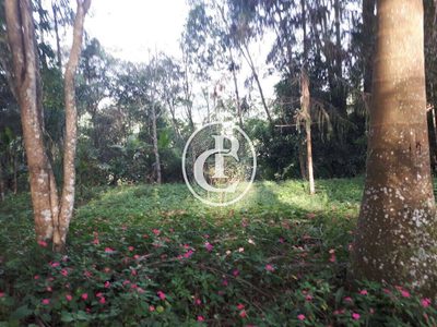 Sítio, 4 quartos, 44 hectares - Foto 2
