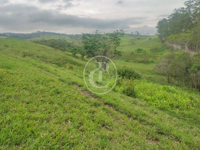 Terreno, 20 hectares - Foto 2