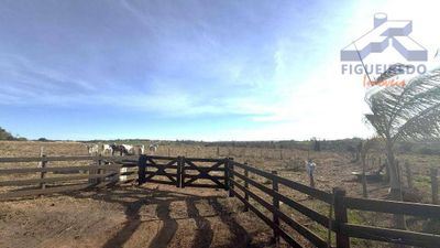 Sítio, 7 hectares - Foto 4