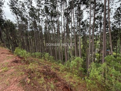 Terreno, 2560 m² - Foto 3