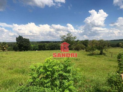 Terreno, 5242 m² - Foto 3