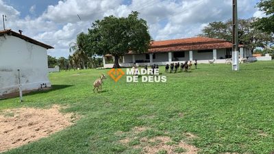 Fazenda, 105 hectares - Foto 5