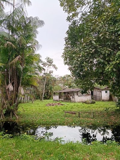 Fazenda, 2 hectares - Foto 4
