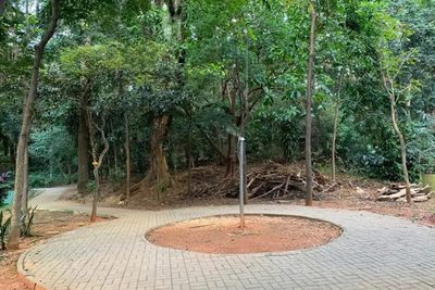 Apartamento, 3 quartos, 73 m² - Foto 2