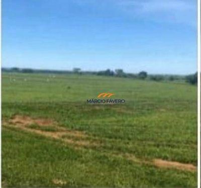 Fazenda, 315 hectares - Foto 2