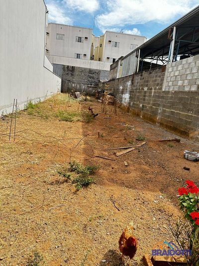 Terreno, 259 m² - Foto 3