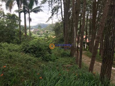 Terreno, 2 hectares - Foto 3