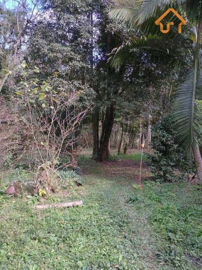 Terreno, 2494 m² - Foto 1