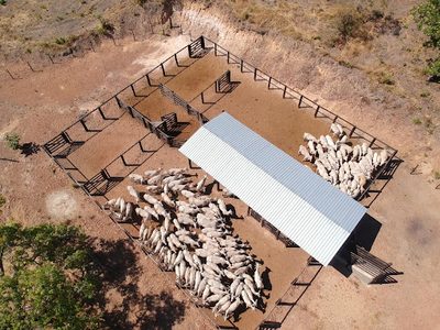 Fazenda, 39 m² - Foto 3