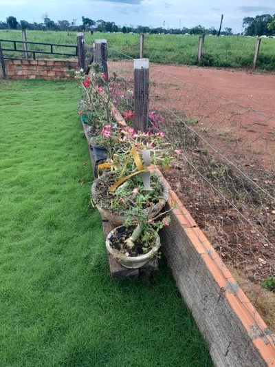 Fazenda, 260 m² - Foto 1