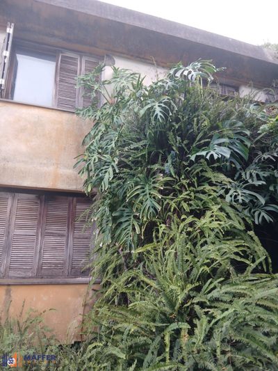 Casa, 4 quartos, 260 m² - Foto 1