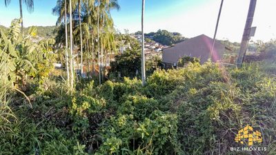Terreno, 1159 m² - Foto 3