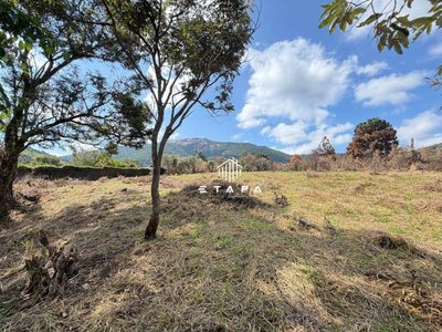 Loteamento e Condomínio, 4300 m² - Foto 1