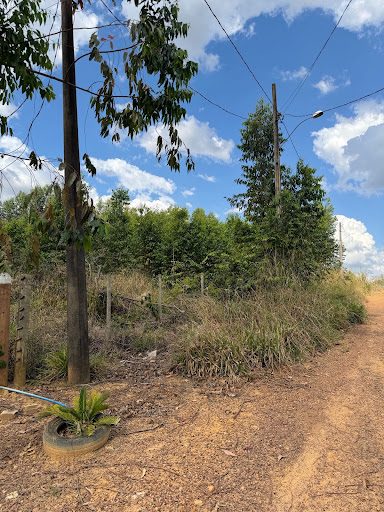 Terreno, 3880 m² - Foto 5