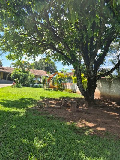 Chácara, 3 quartos, 1000 m² - Foto 5