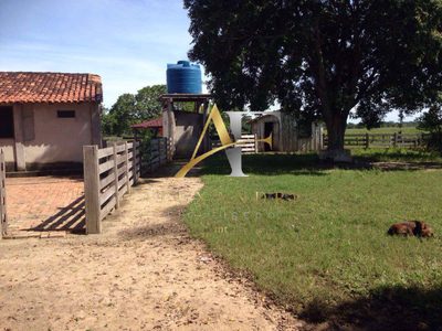 Fazenda, 342 hectares - Foto 5