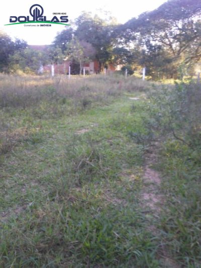 Sítio, 3 quartos, 7 hectares - Foto 5