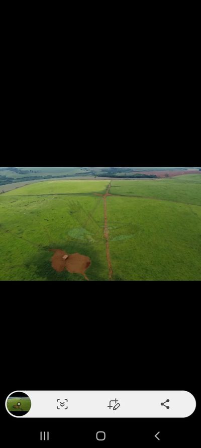 Fazenda, 218 hectares - Foto 3