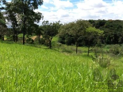 Terreno, 8 hectares - Foto 3