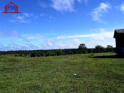 Fazenda - Foto 5