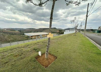 Terreno, 576 m² - Foto 4