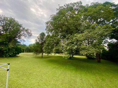 Chácara, 4 quartos, 4000 m² - Foto 3
