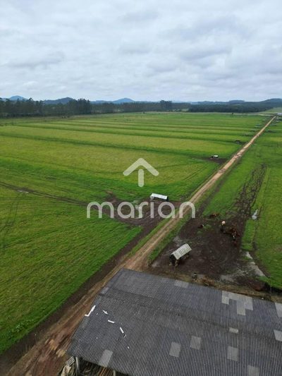 Fazenda - Foto 4