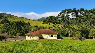 Terreno, 404 hectares - Foto 3